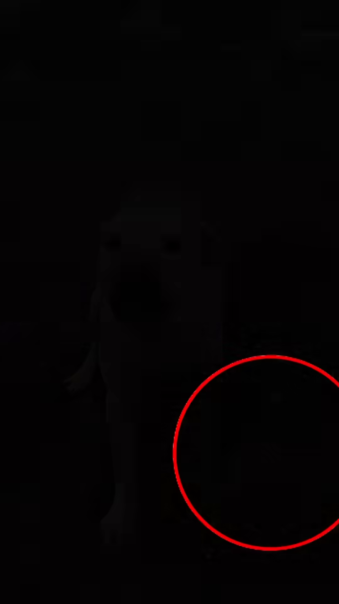 A rescuer approaches a mother dog who is growling and appears protective.