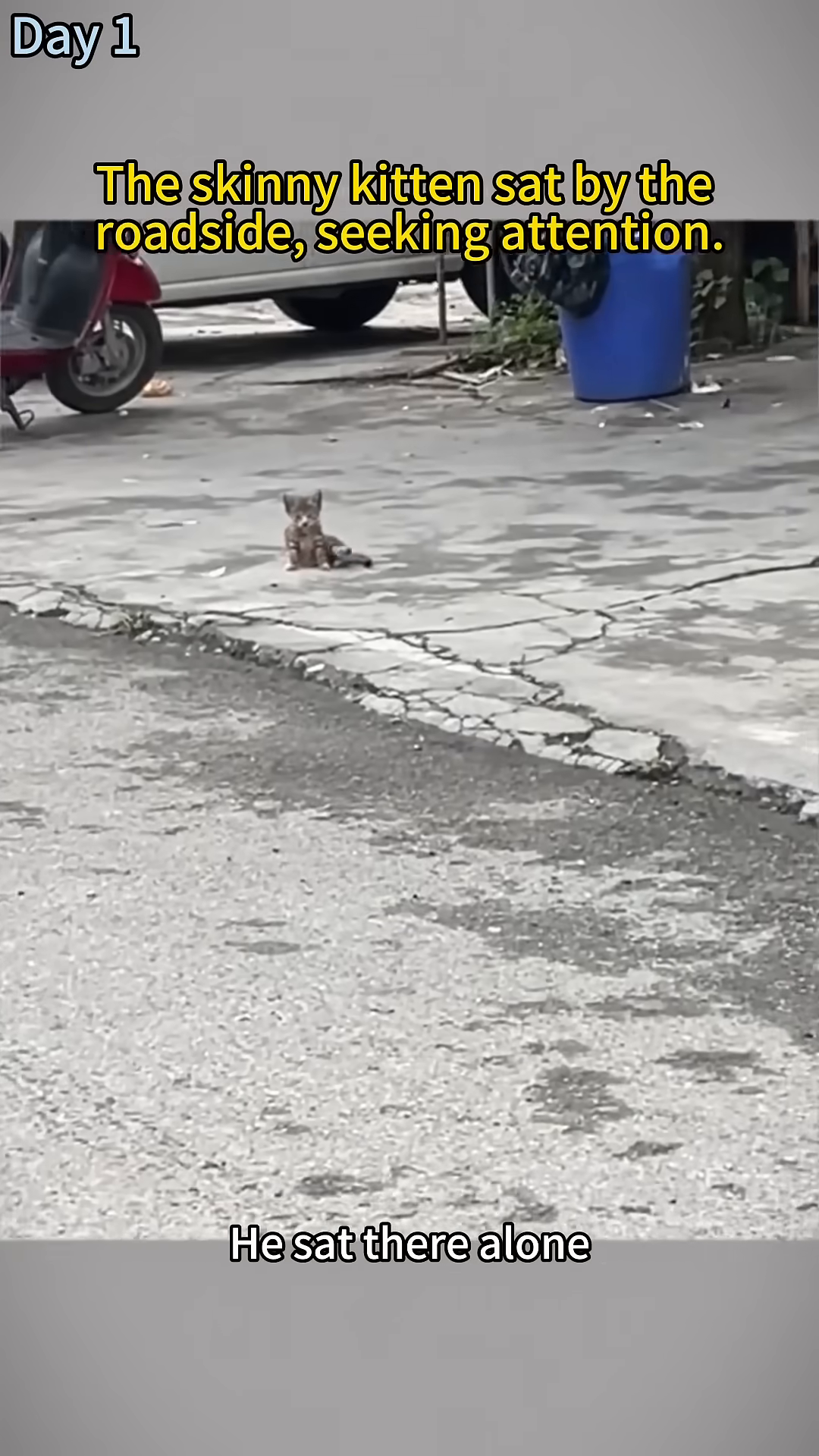 A small, skinny tabby kitten sits alone on the cracked pavement by the roadside.