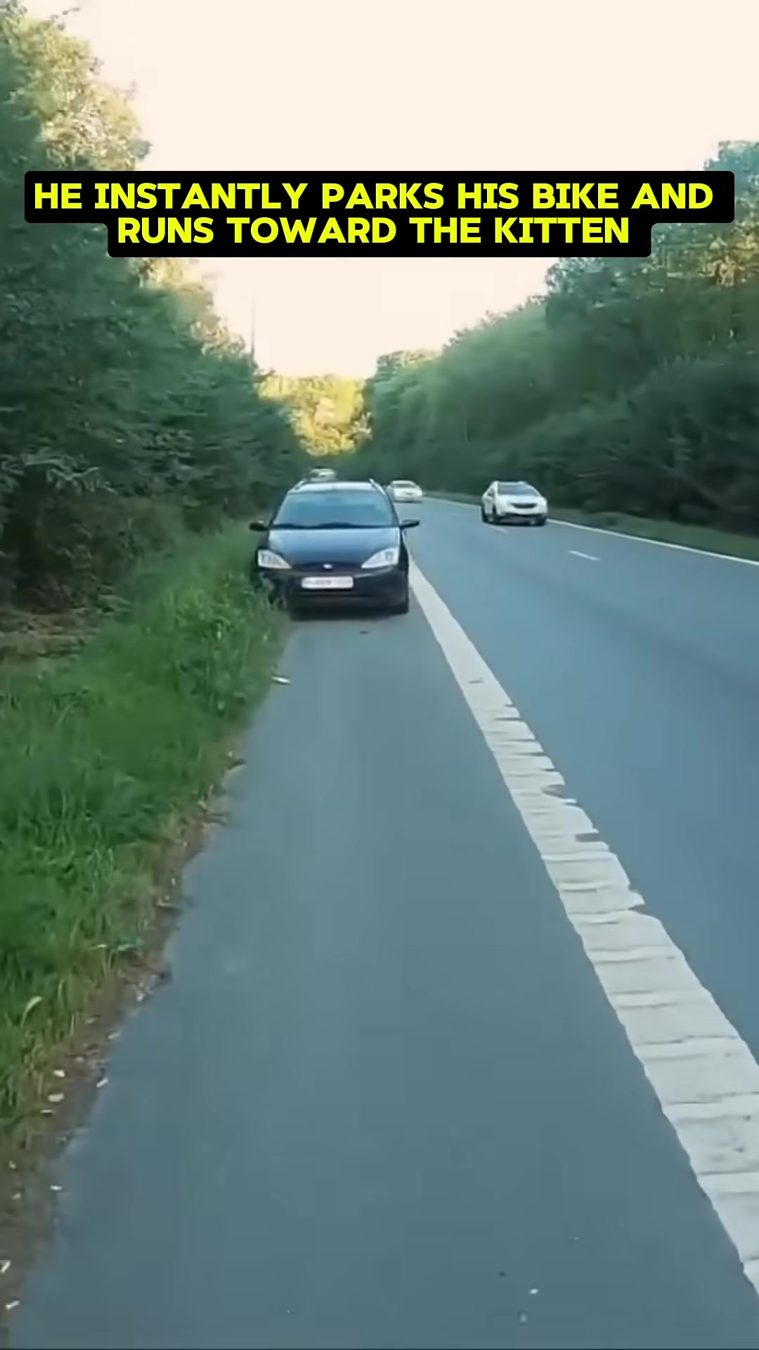 A tiny ginger kitten sits alone and scared in the middle of a highway.