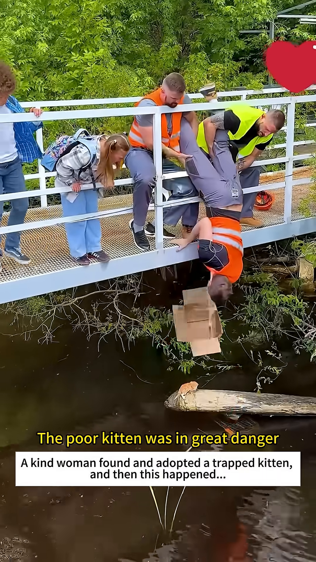 A man is upside down reaching a cardboard box towards a kitten stuck near the water.
