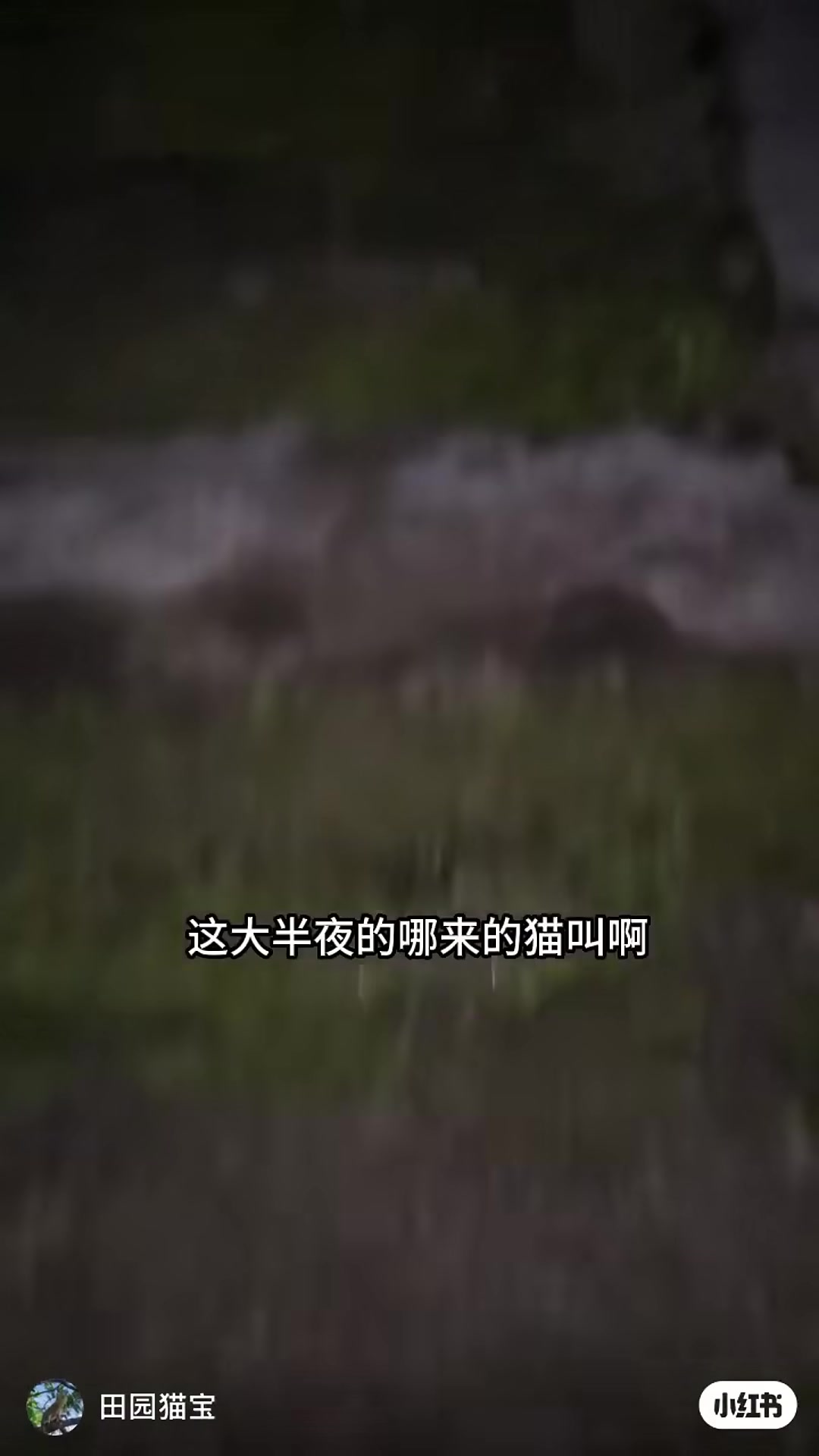 A man walking into a dark, abandoned house at night, following a faint crying sound.