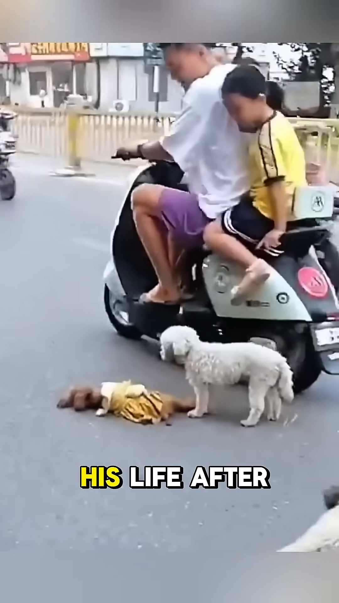 A small, brown puppy lies on the road, dressed in a yellow outfit, appearing lifeless.