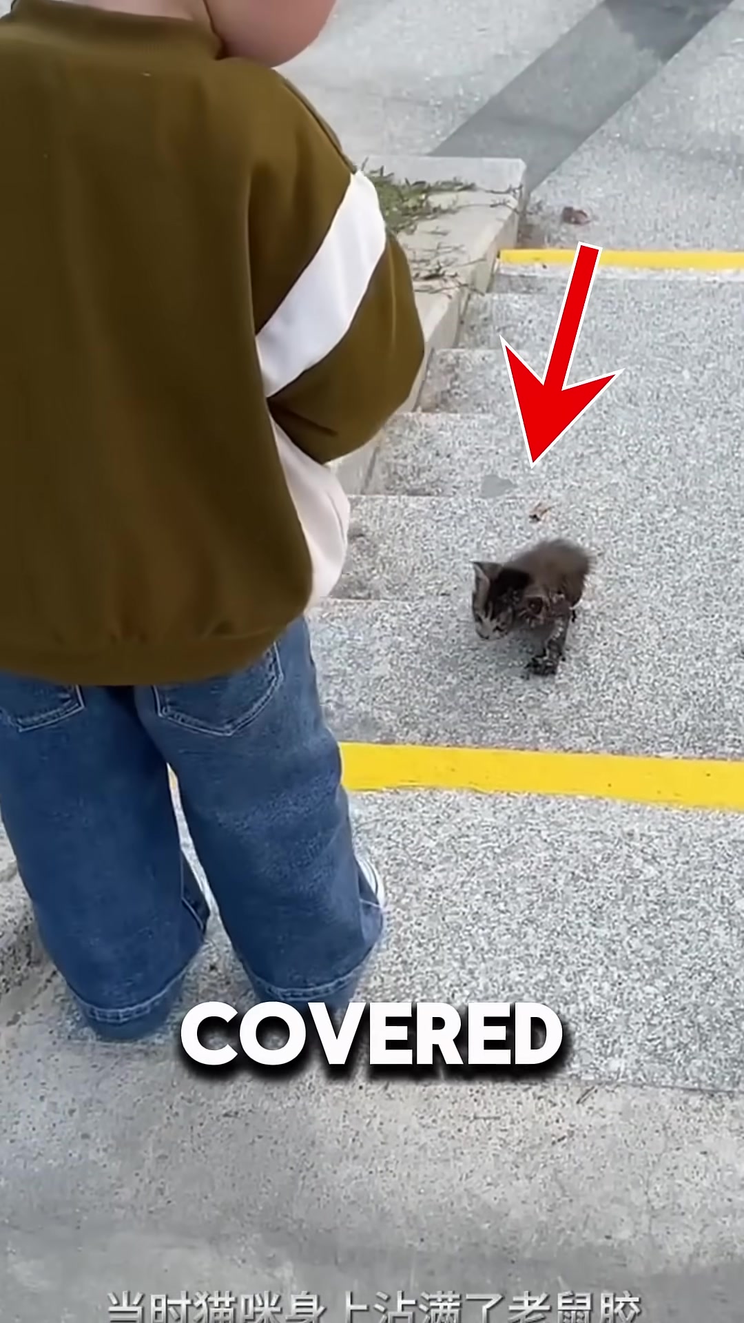 A small kitten covered in glue looks up at a little boy with pleading eyes.