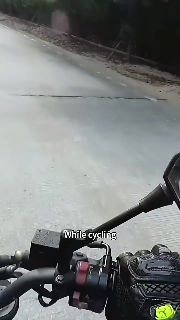A white puppy runs alongside a bicycle on a paved road.