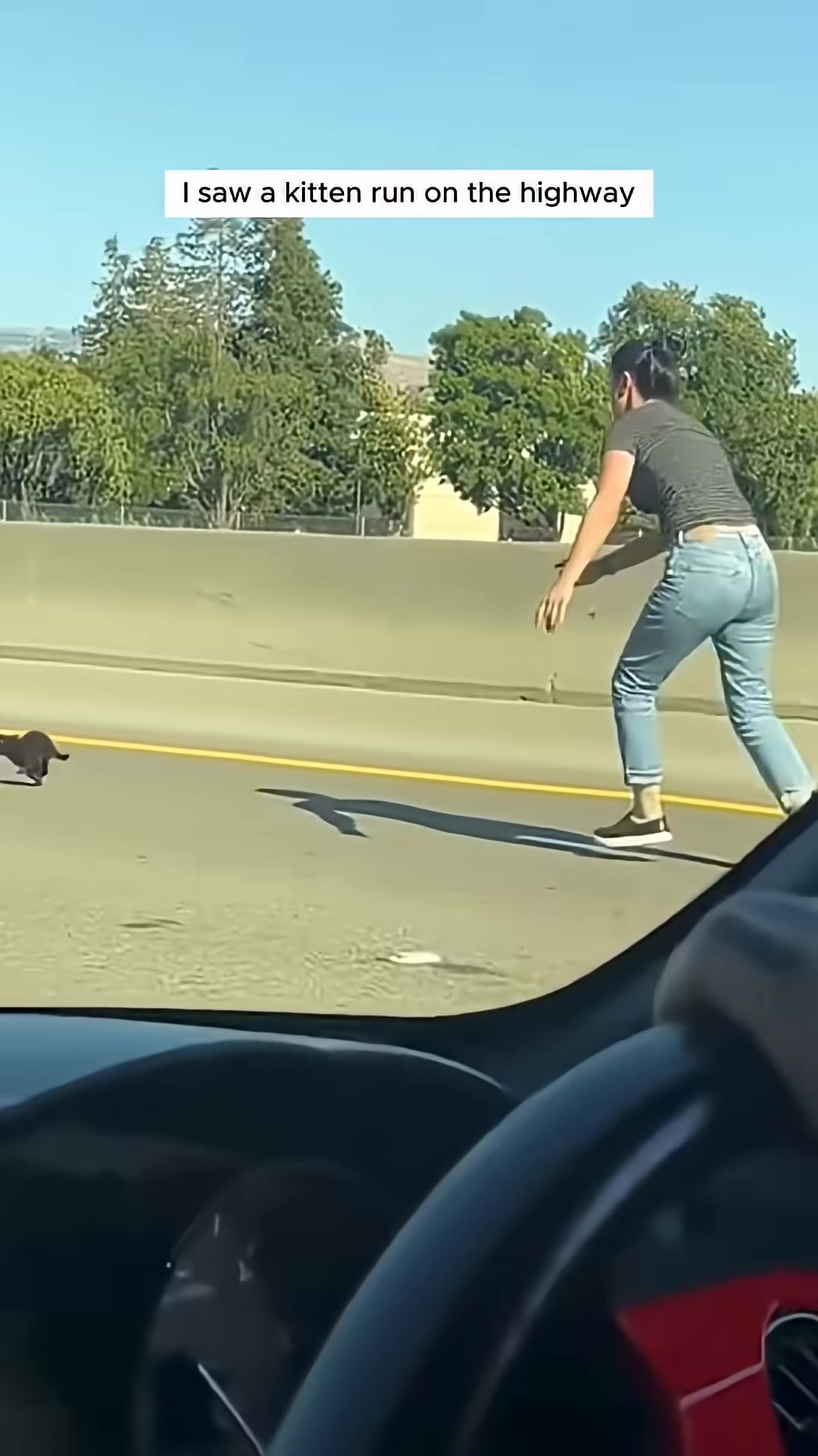 A woman cautiously approaches a tiny kitten on the side of a busy highway.