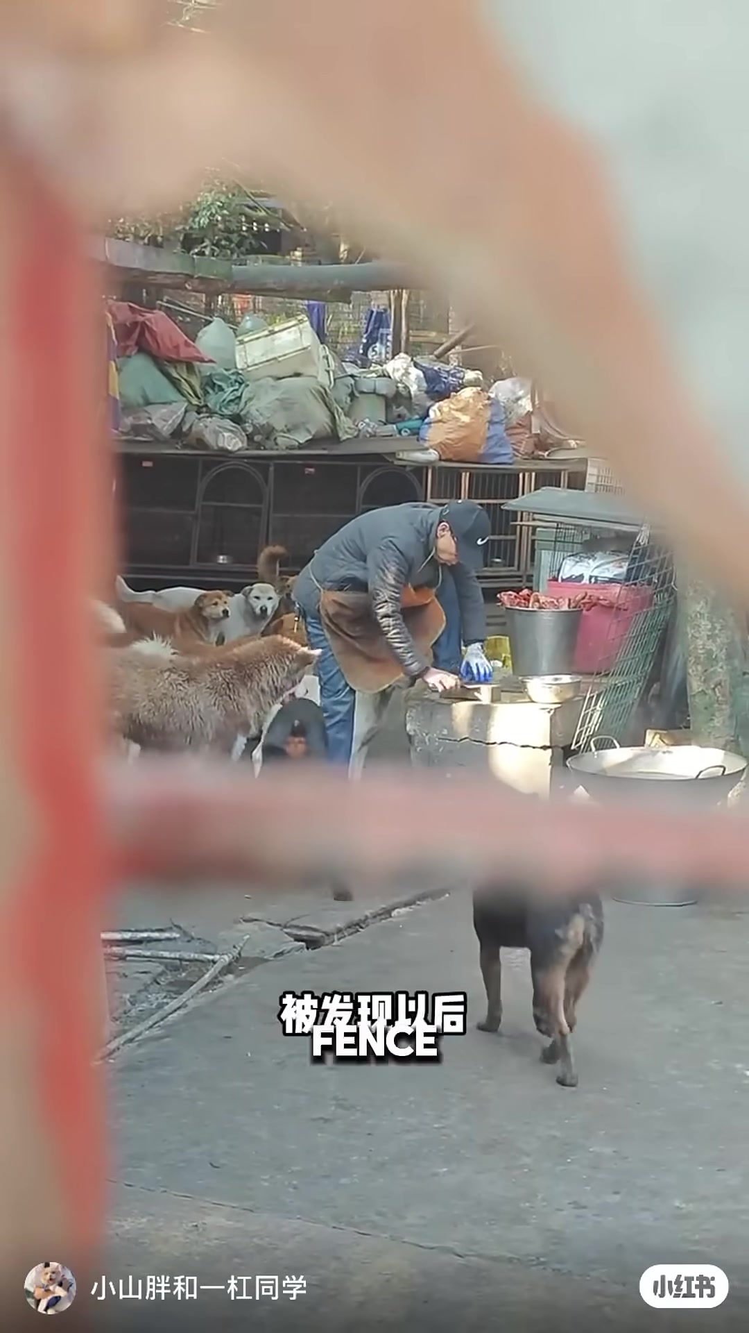 A man peers through a hole in a wooden fence, seeing someone sharpening a knife inside.
