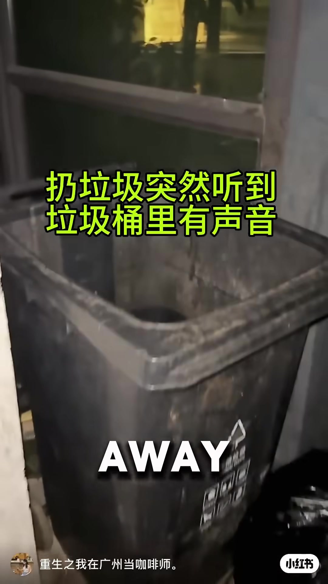 A woman looks into a garbage bin, her expression concerned, as a small kitten stares back from the shadows.