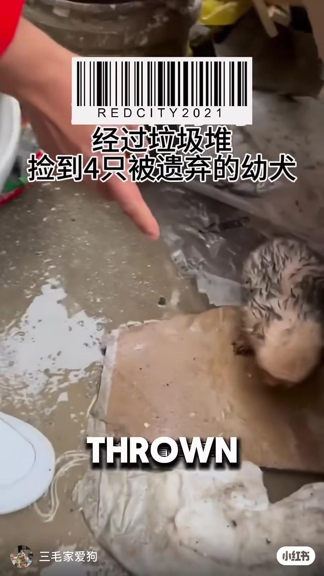 A man and his friend pause beside a trash pile, hearing a faint cry.