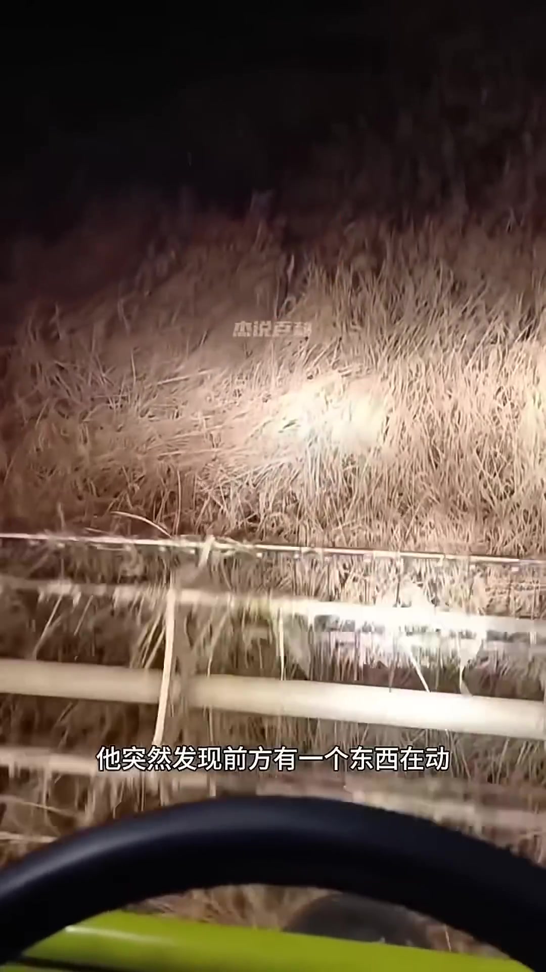 A farmer's tractor headlights cutting through the dark night, with a shadowy figure of a deer ahead.