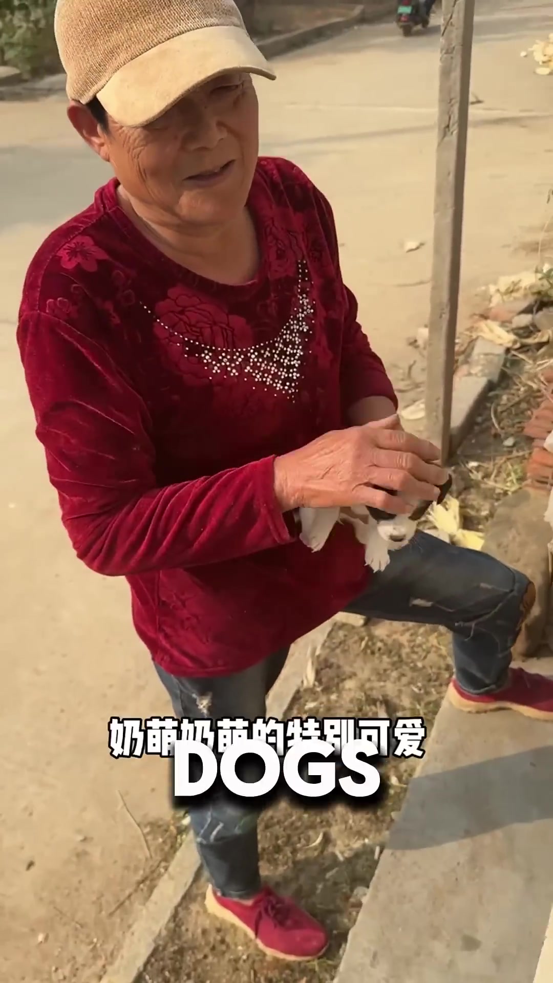 A worried stray dog mother follows a family home, her eyes fixed on the puppy they carried.