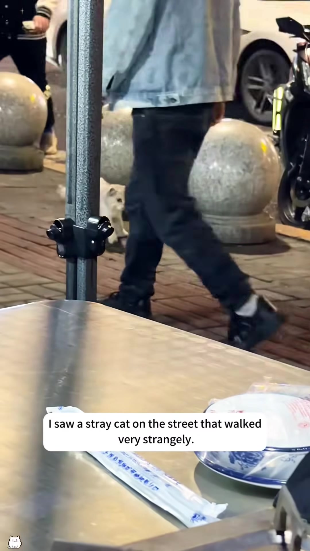 A stray cat with a peculiar, staggering walk on a city street at night.