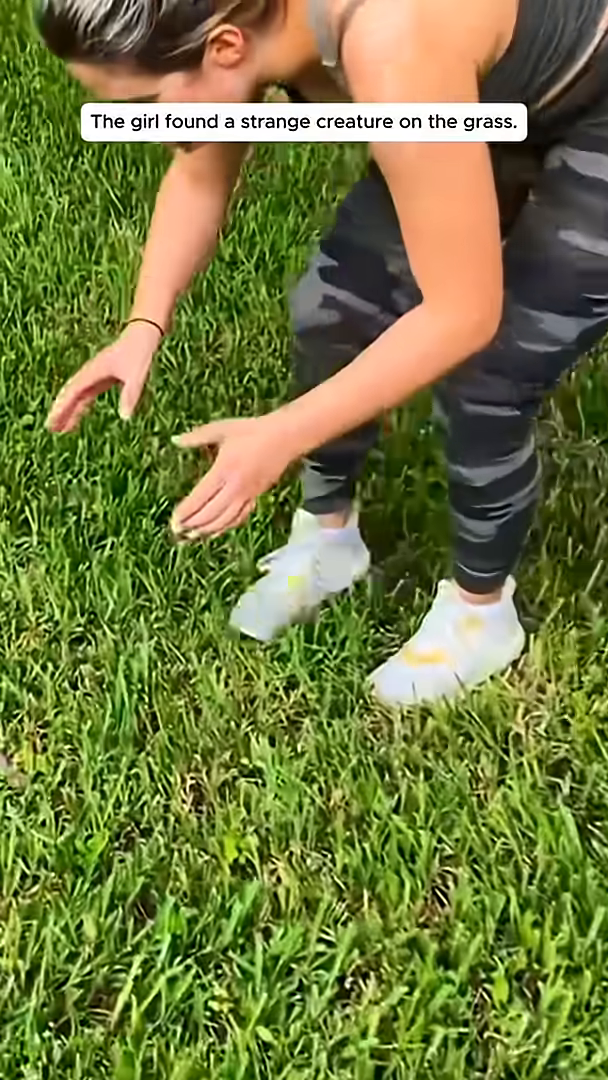 A woman cautiously approaches a tiny creature on the grass.