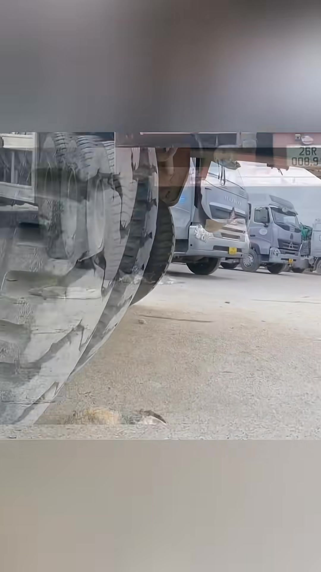 A close-up view of the terrified mother cat and her kittens hiding under the truck.