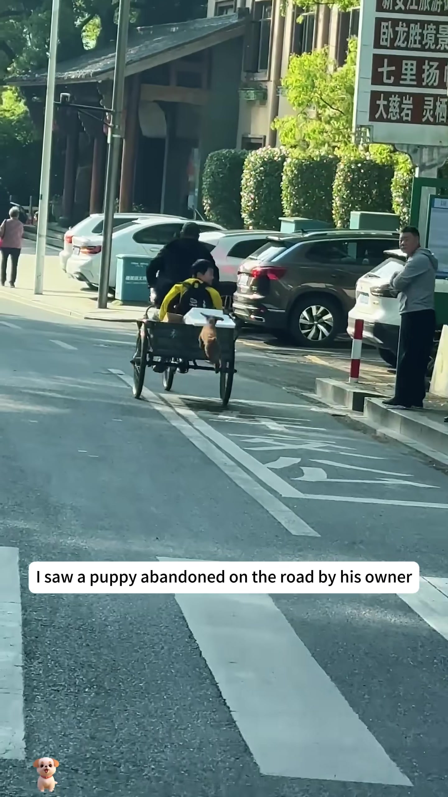 A small puppy runs behind a cart, desperately trying to keep up with its owner.