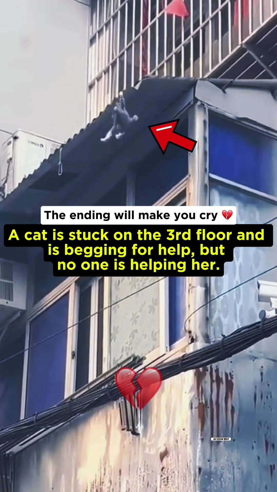 A kitten is precariously hanging from the edge of a roof on the third floor of a building.