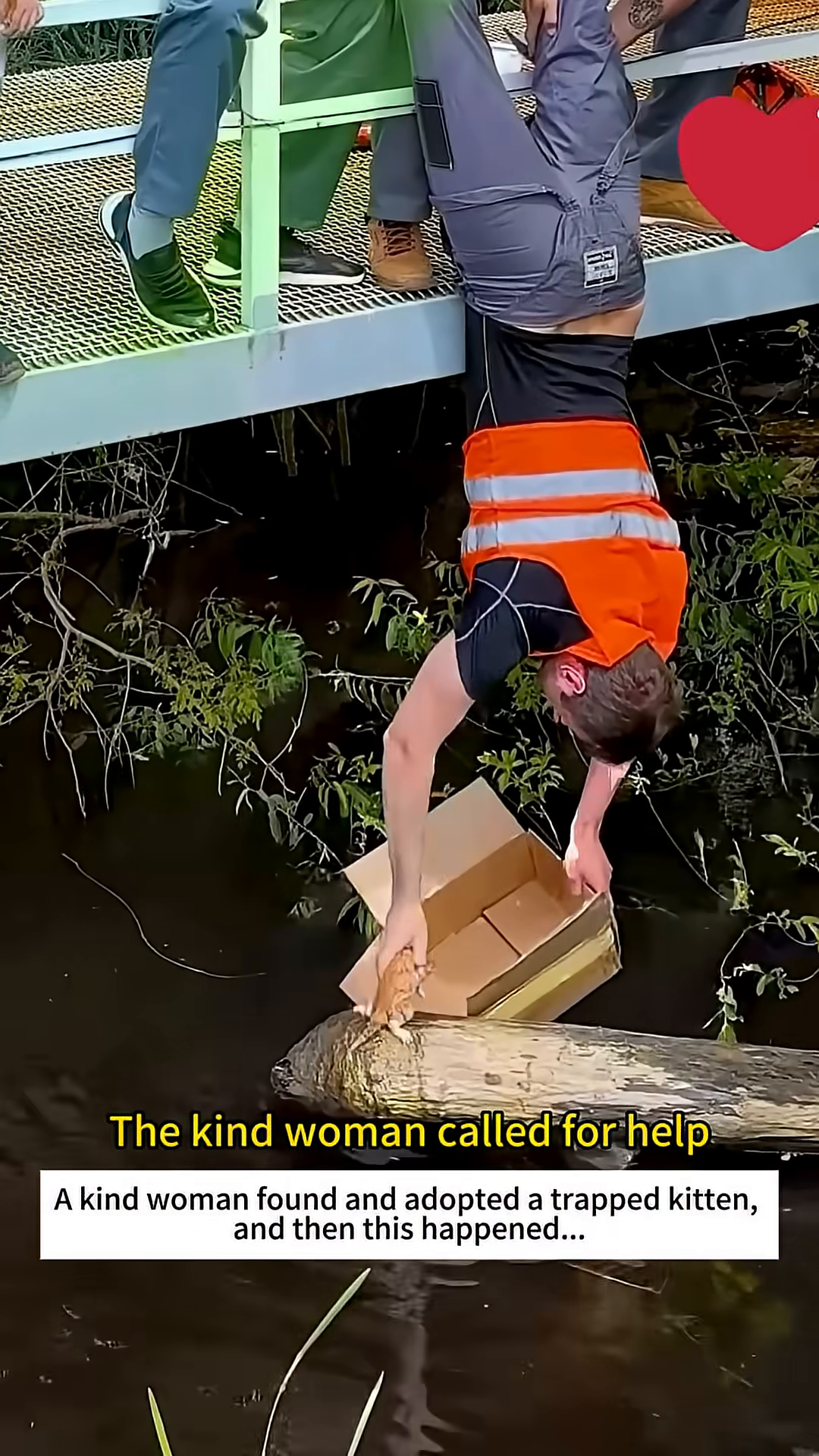 Several people are gathered on a bridge, with one person reaching down towards a kitten in the water.