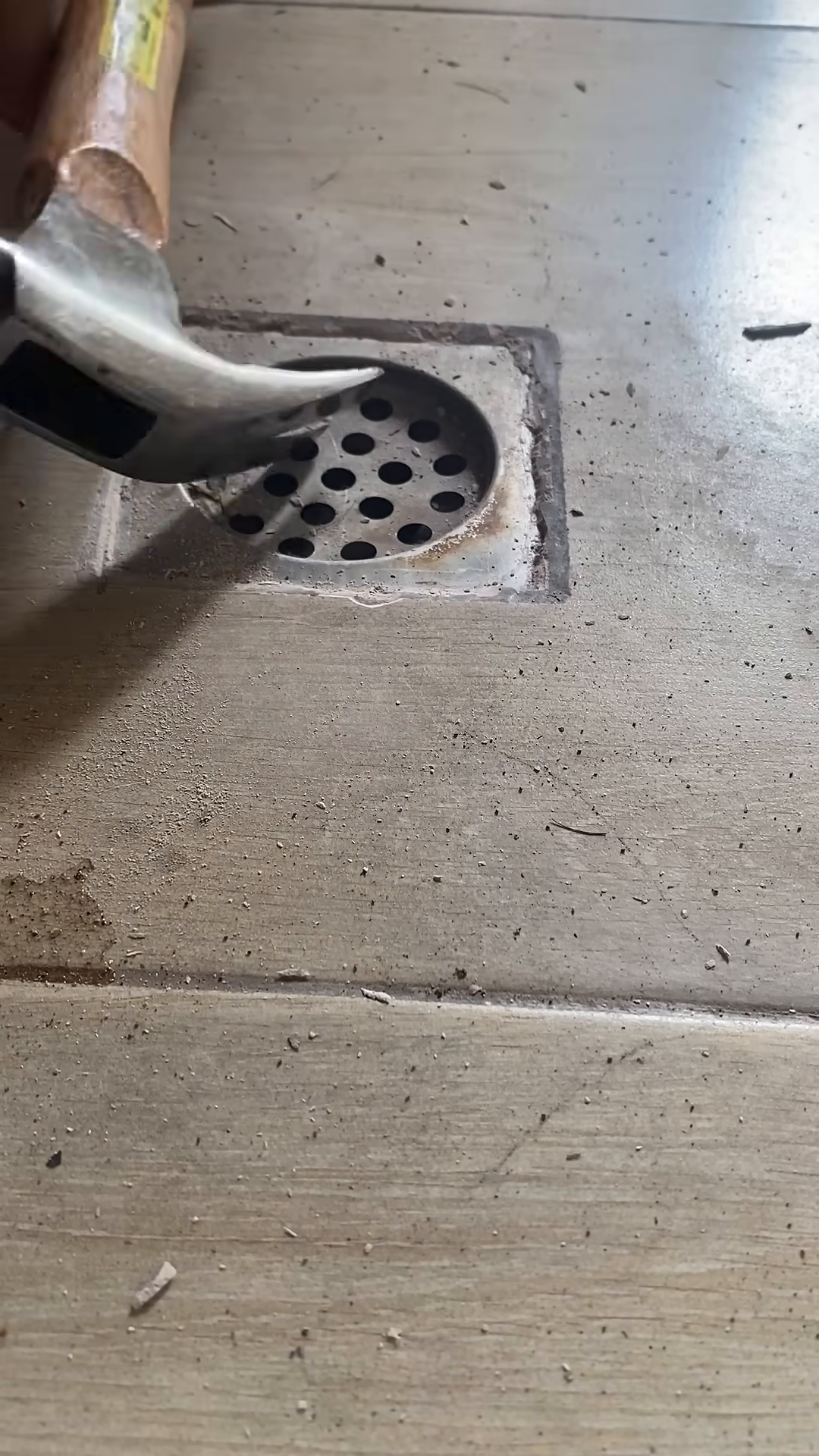 Hands work to remove the drain cover, preparing to reach the trapped kitten.