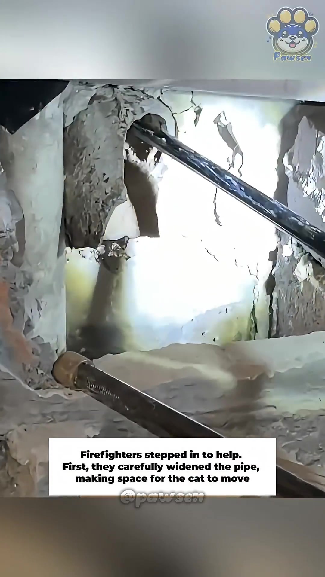 Firefighters working to widen a narrow pipe where a cat is trapped.
