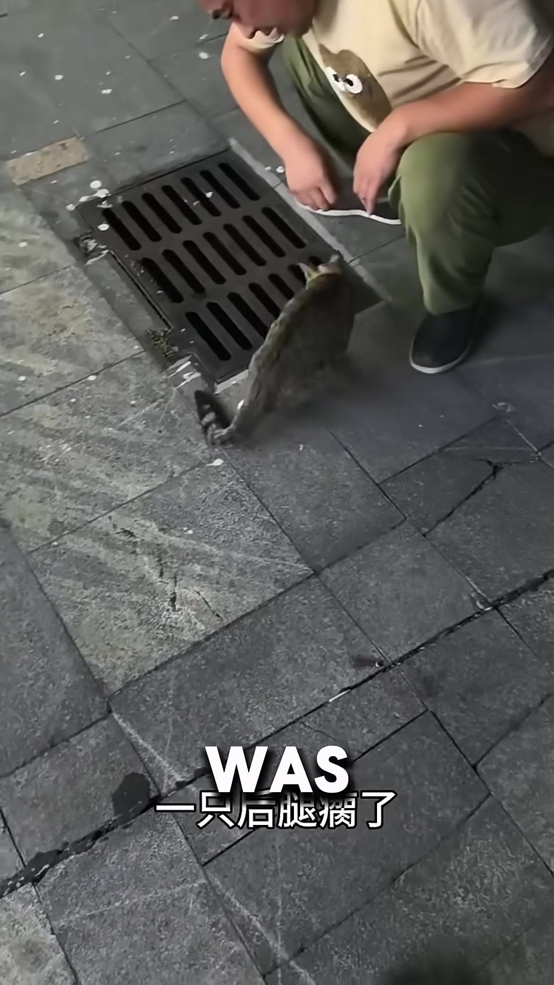 A couple crouches by a sewer grate, shining a phone light into the darkness.