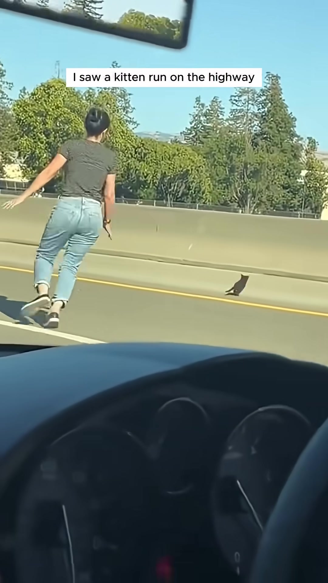 The woman gently scoops up the frightened kitten.