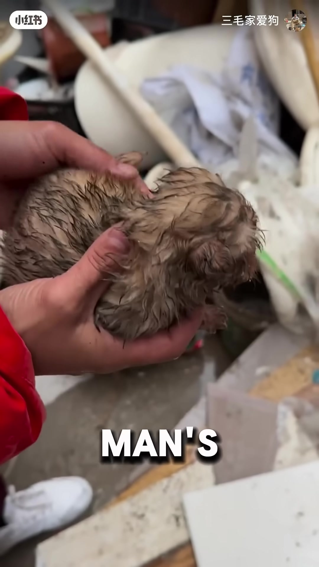 A man's hand turns red as he holds a shivering, wet puppy.