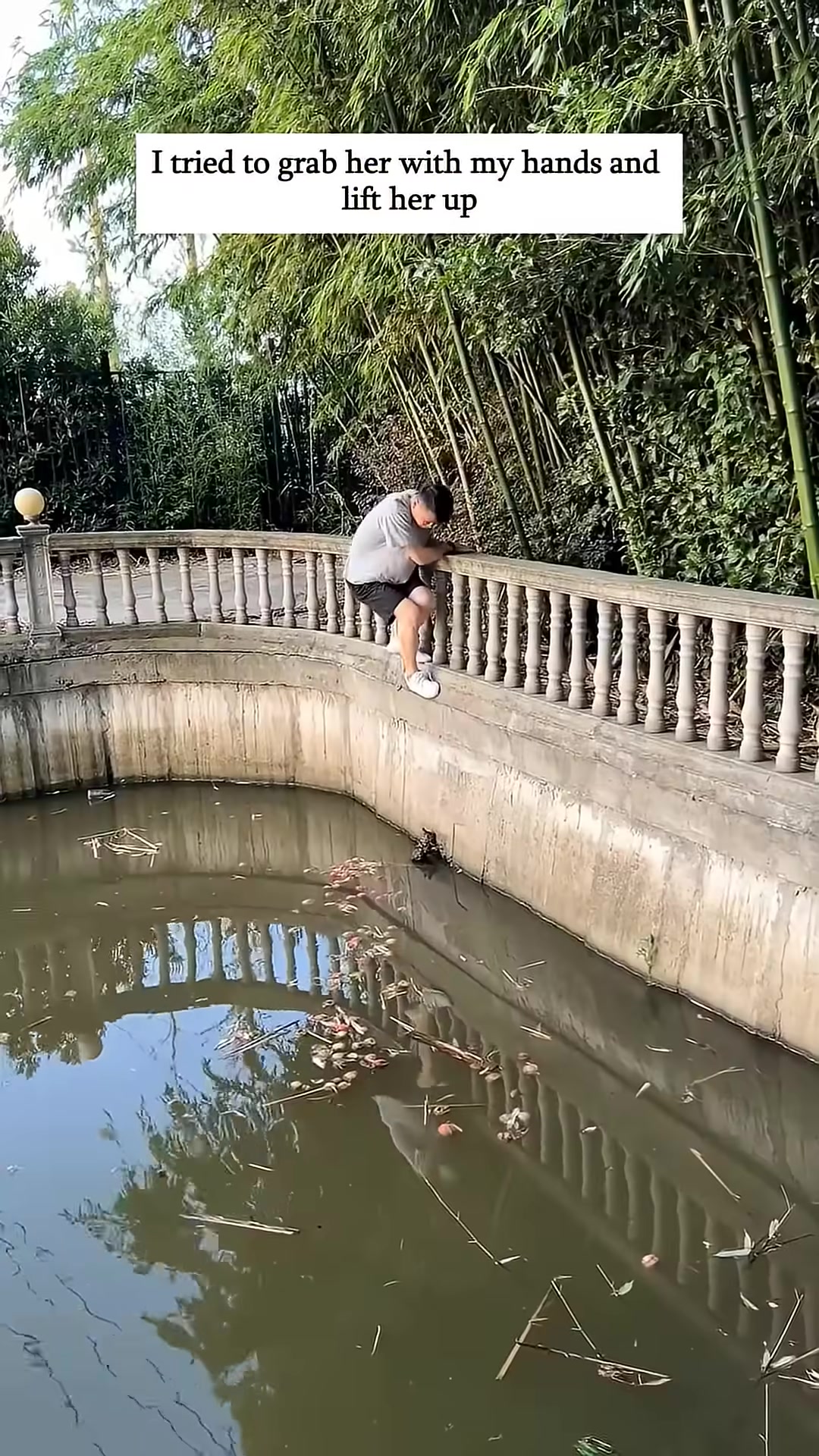 A person's hands reach into the water, trying to help the kitten.