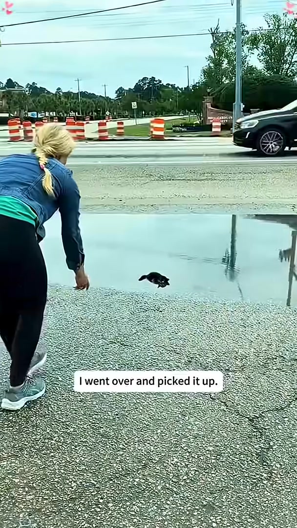 A person's hand is reaching down towards the kitten in the puddle.
