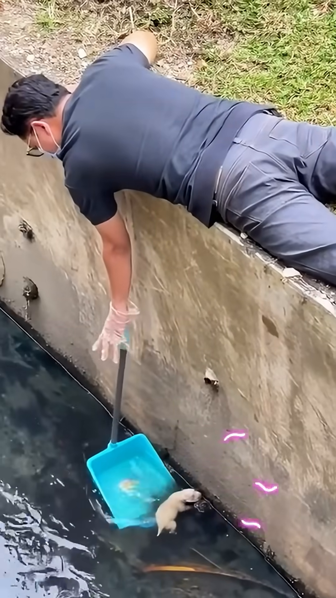 A man is lying on the edge of a concrete ditch, using a blue dustpan on a pole to carefully scoop a small, pale puppy out of the dark water.