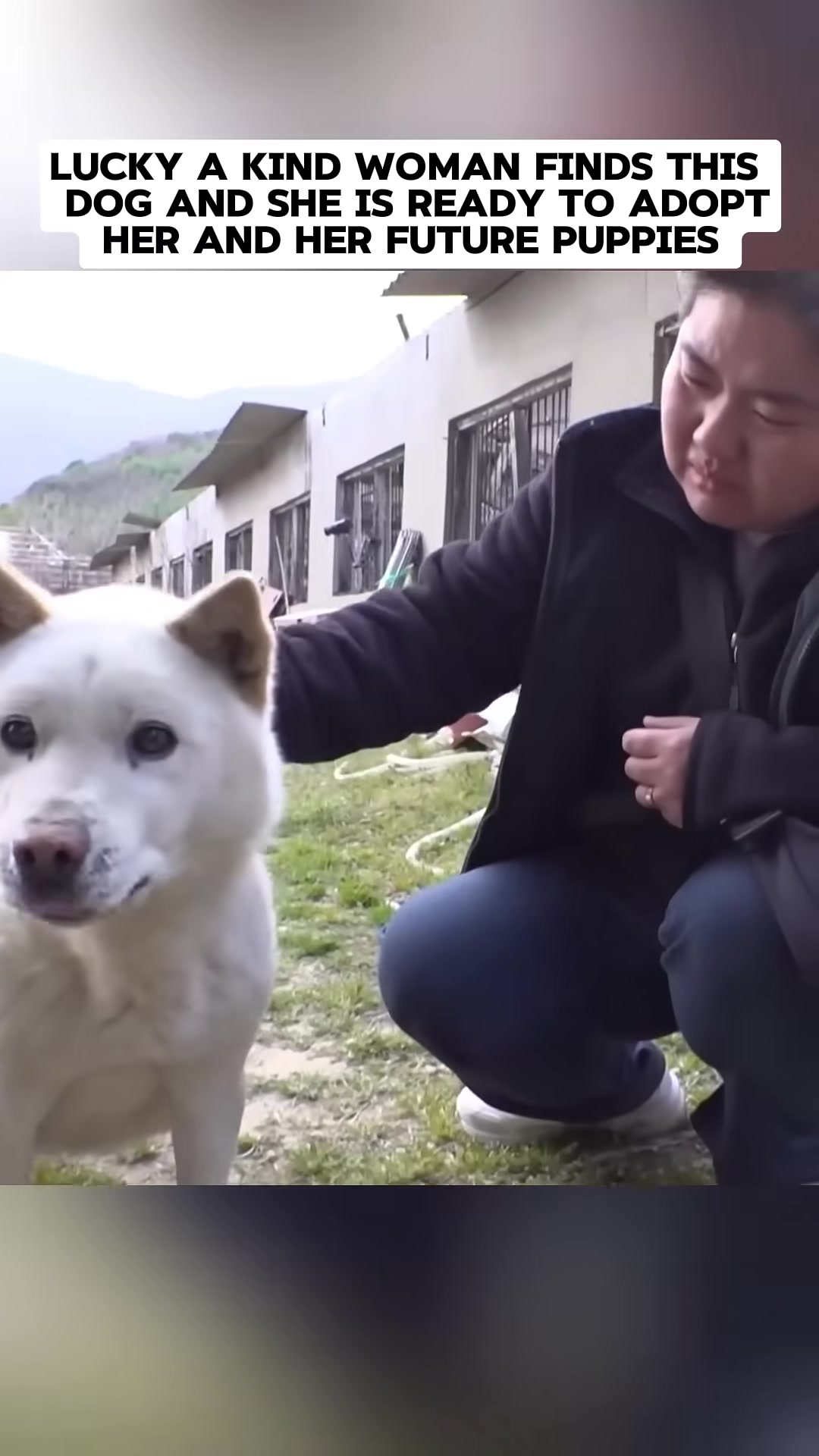 A woman kneels down and gently pets a white dog.