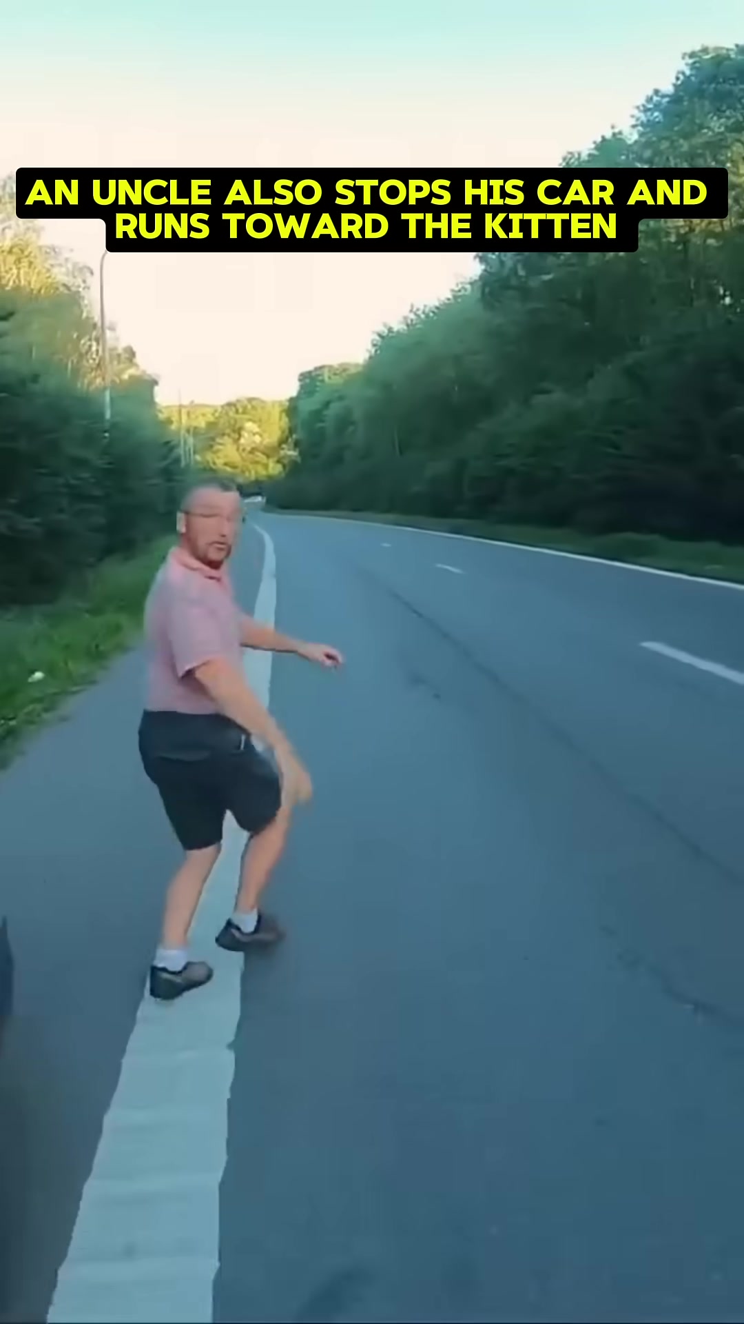The biker parks his motorcycle and runs towards the kitten on the highway.