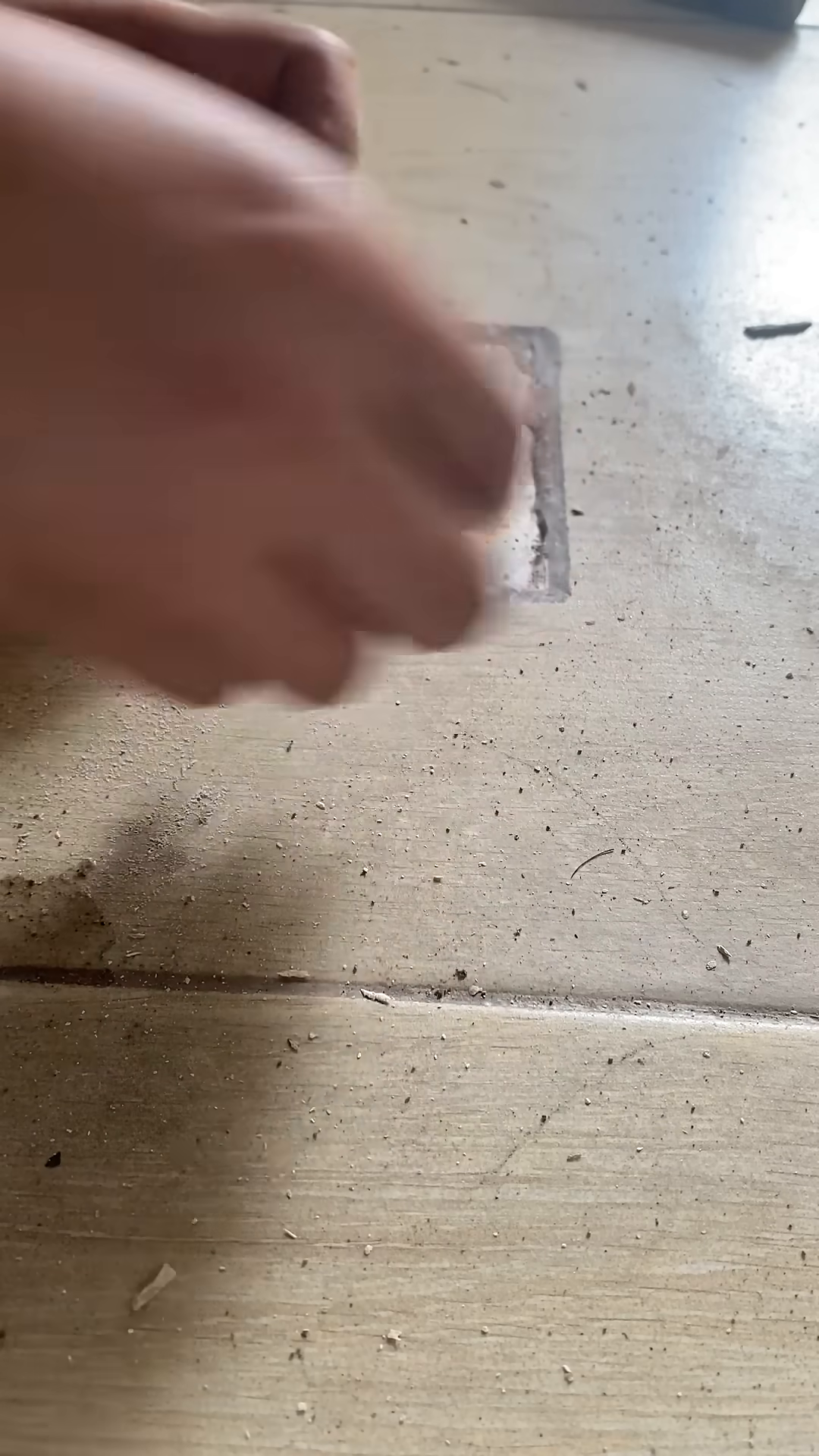 A person's hands gently lift the small kitten out of the drain.