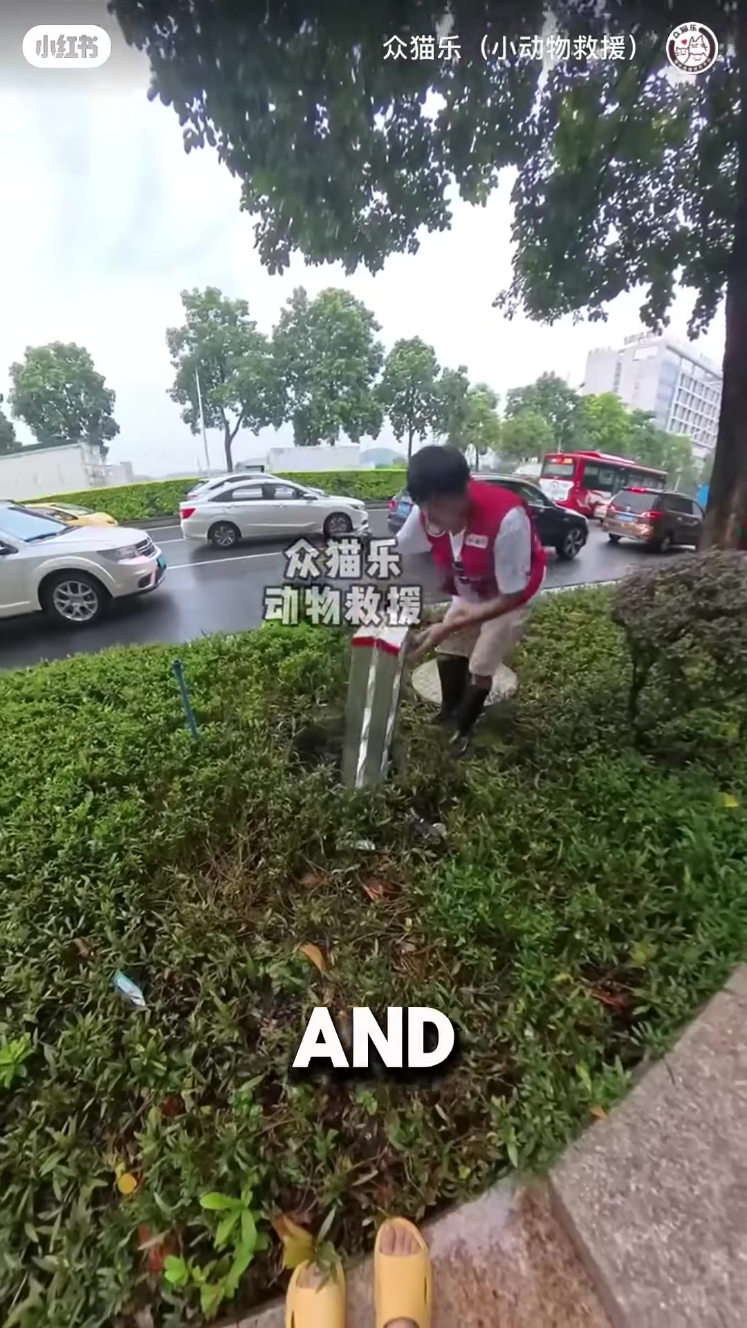 A volunteer climbing down a ladder into a dark, dirty sewage drain.