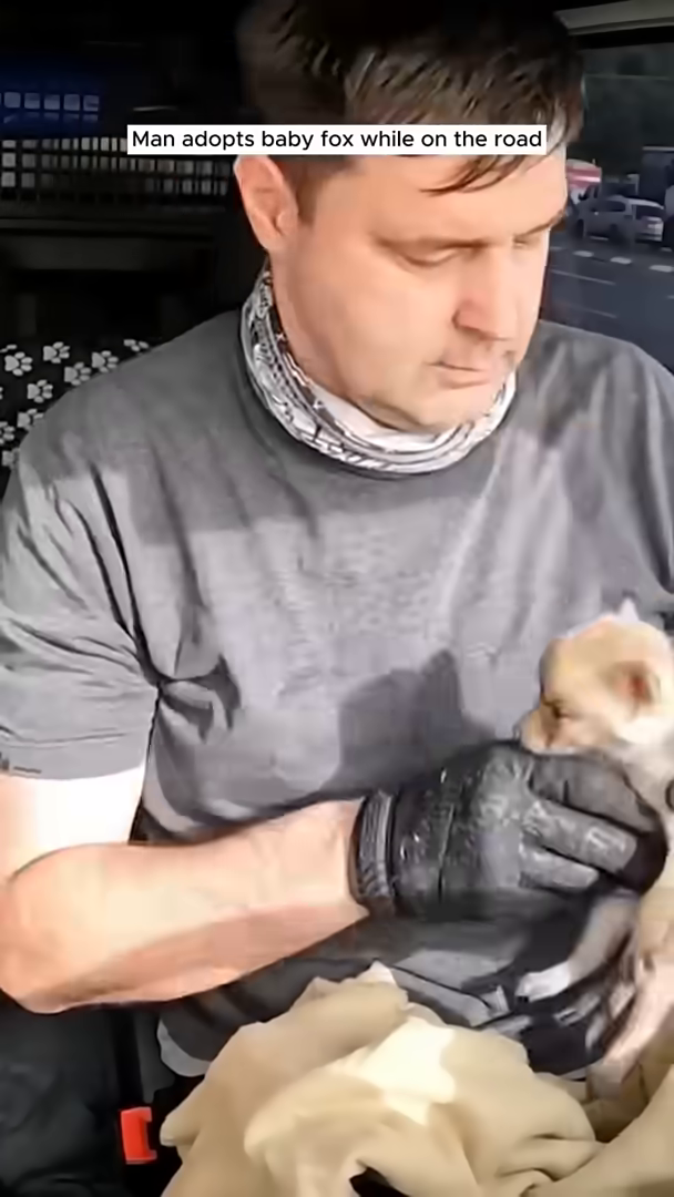 The man holds the baby fox close, cradling it with care.