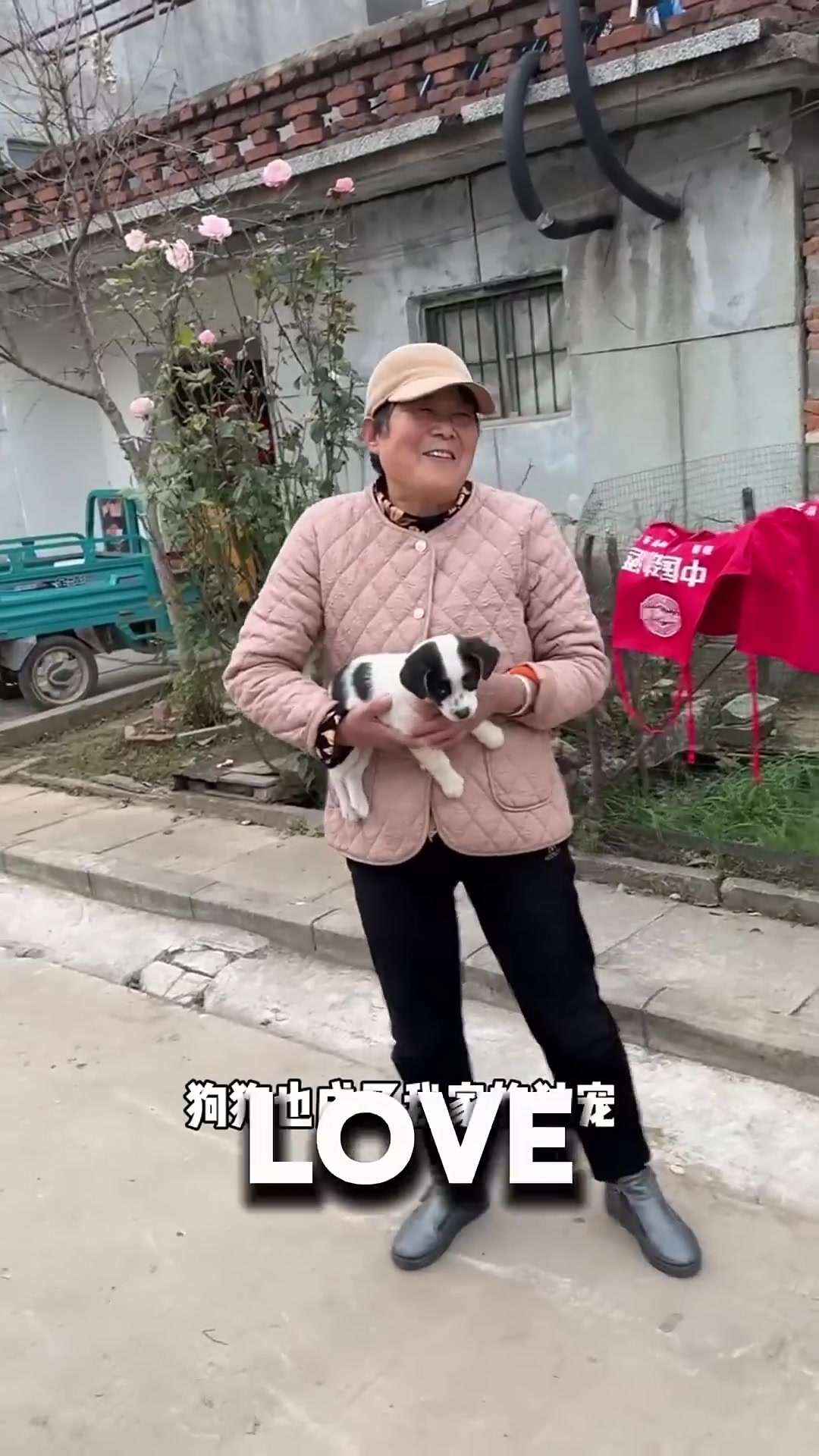 A family gathered around a stray mother dog, their hands gently stroking her fur.