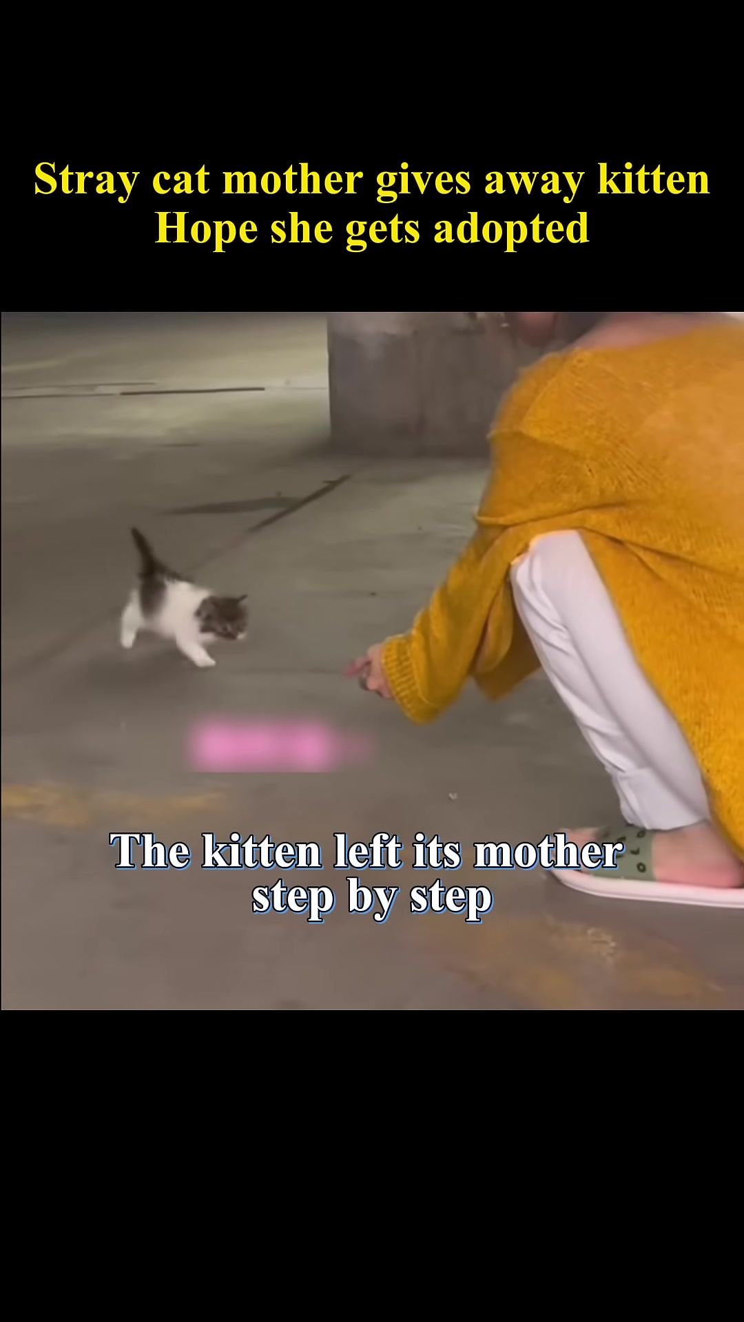The human gently holds the kitten, offering comfort.