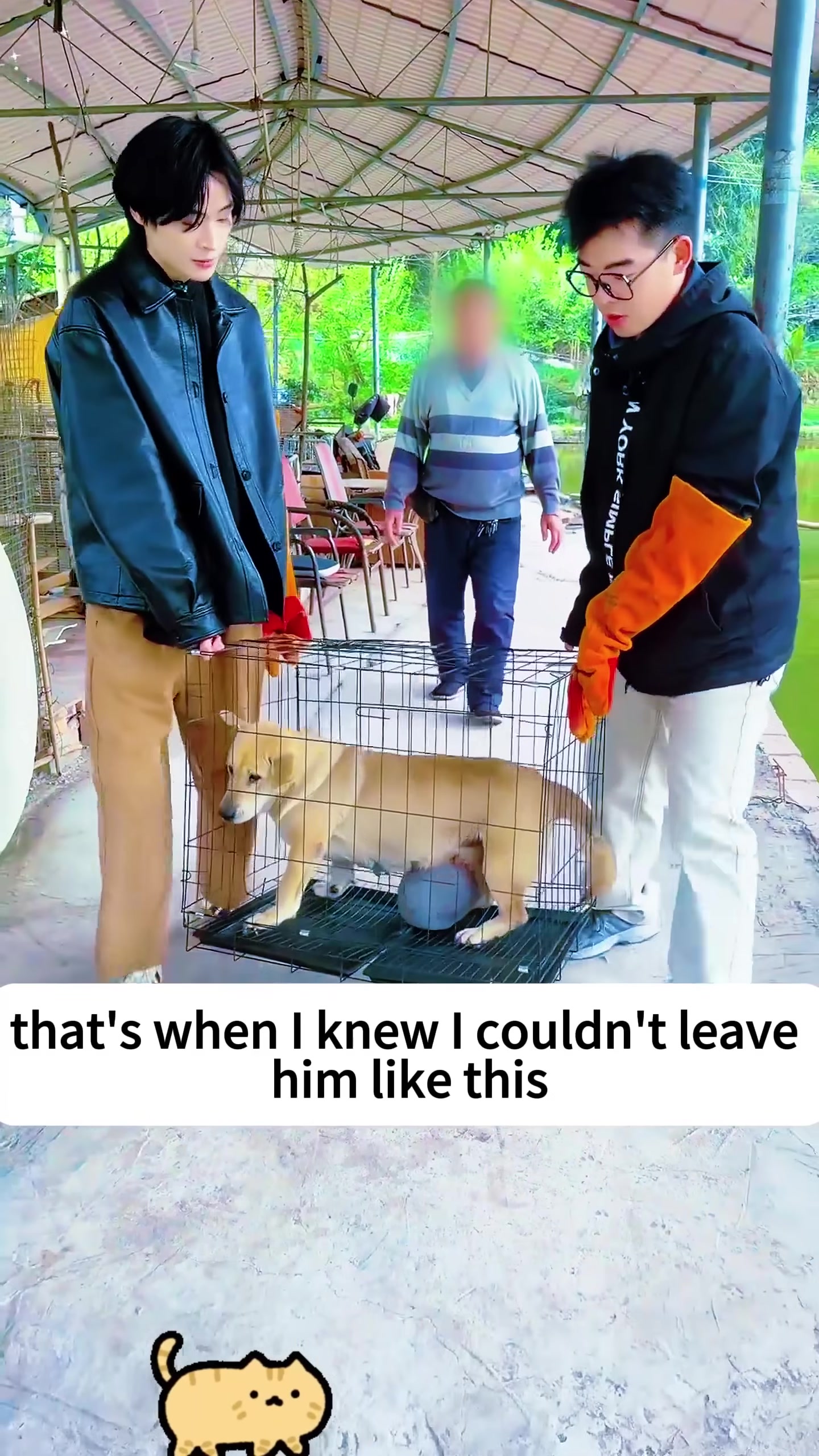 Two people are carefully placing a tan dog into a metal crate, with the large tumor still visible.