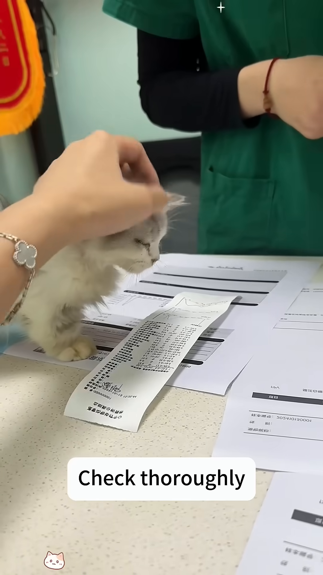 A person is gently petting a small, fluffy kitten that is lying on a blue absorbent pad.