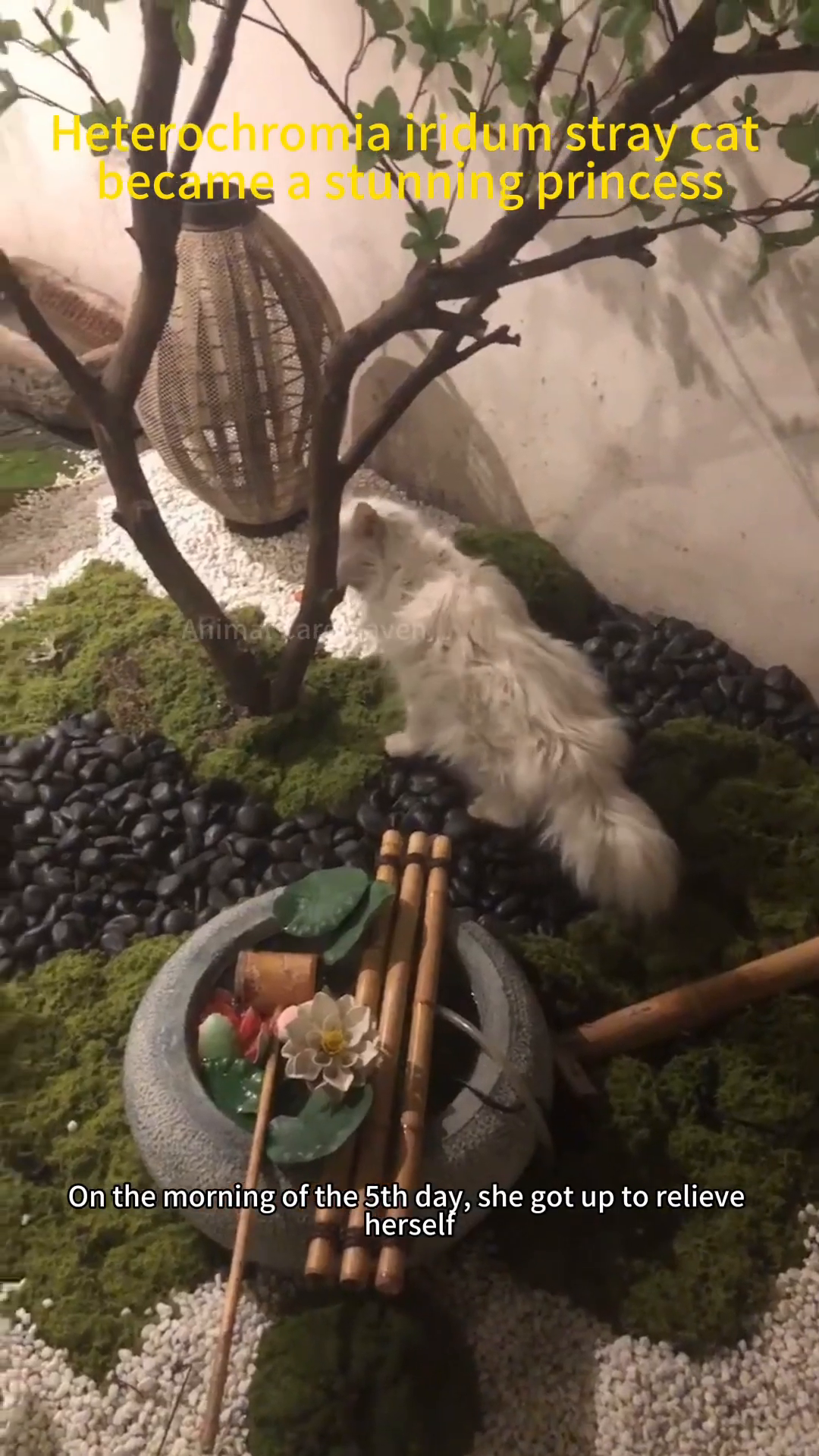 The white cat resting in a small, makeshift nest in a garden setting.