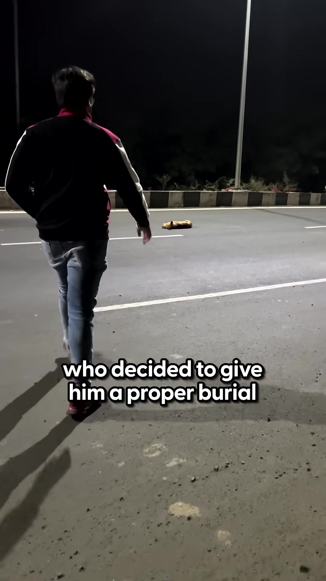 A person looks down at a dog on the highway, realizing it's alive.
