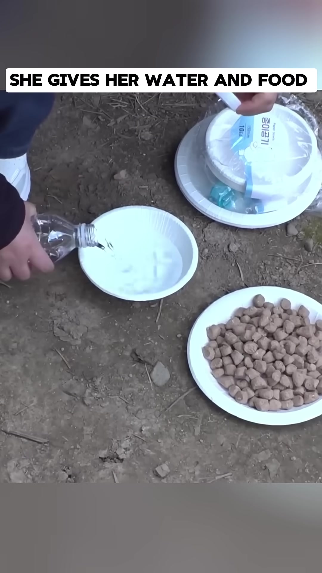 A woman pours water into a bowl for a dog, with a plate of dog food nearby.