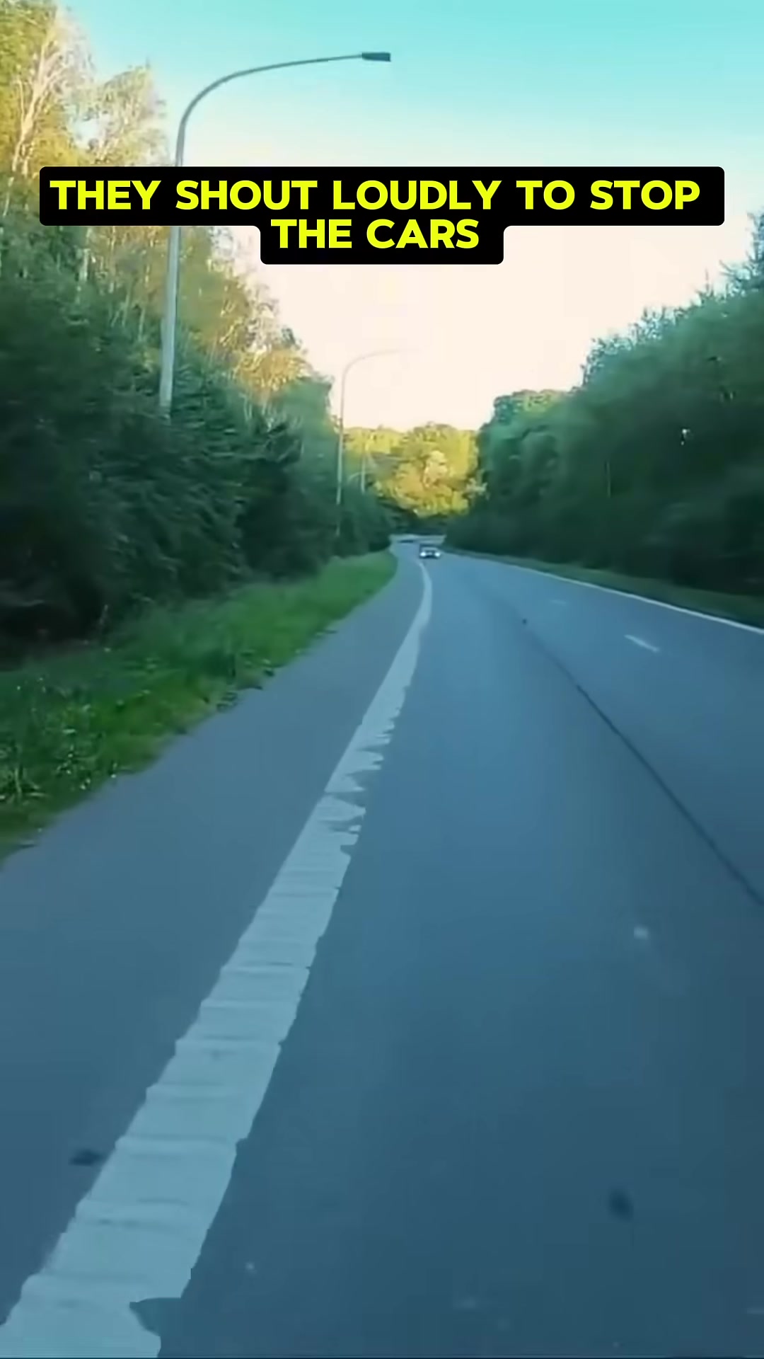 A man gets out of his car and runs towards the kitten alongside the biker.
