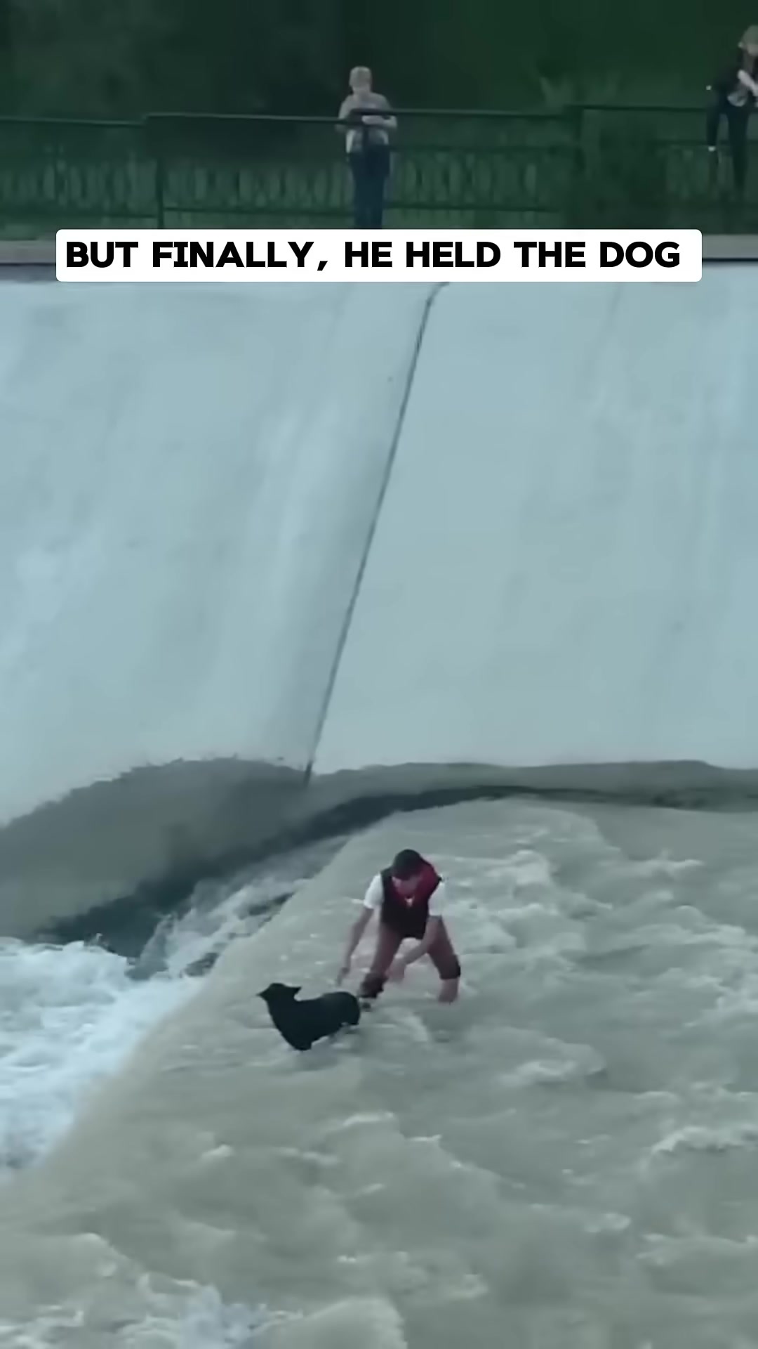 A man struggling against the powerful water as he moves towards the dog.