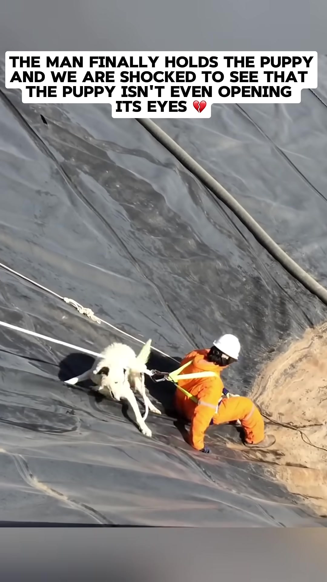 A rescuer in an orange suit holds a very small, limp puppy.