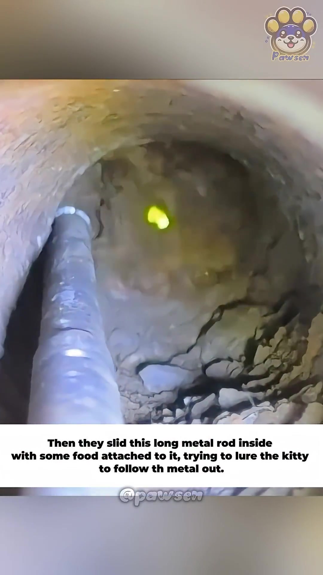A metal rod with food attached is being slid into a pipe.