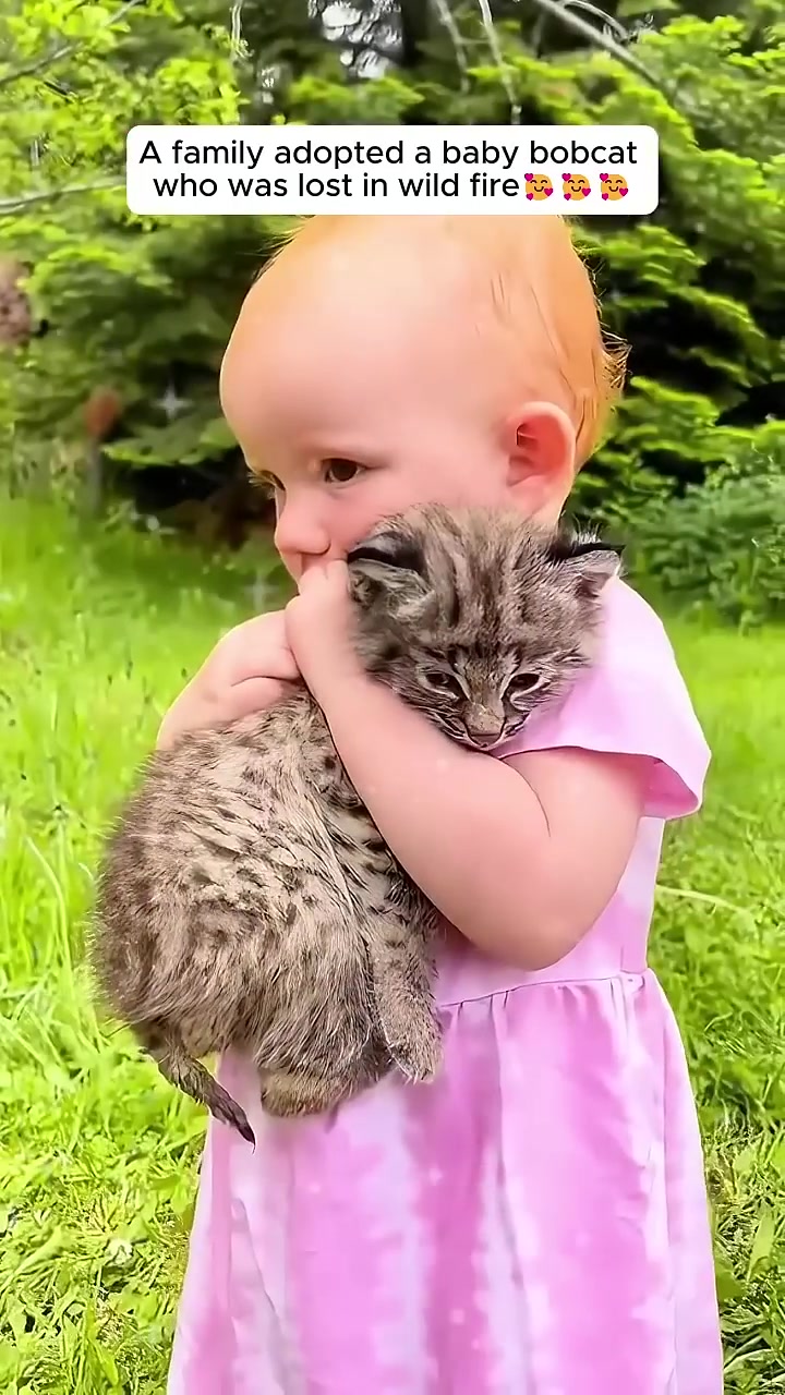 A young child with red hair gently hugs a sleeping bobcat kitten.