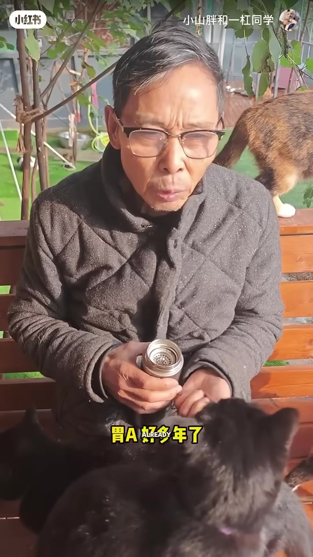 The elderly man sits wearily among his dogs, a quiet expression of love and exhaustion on his face.