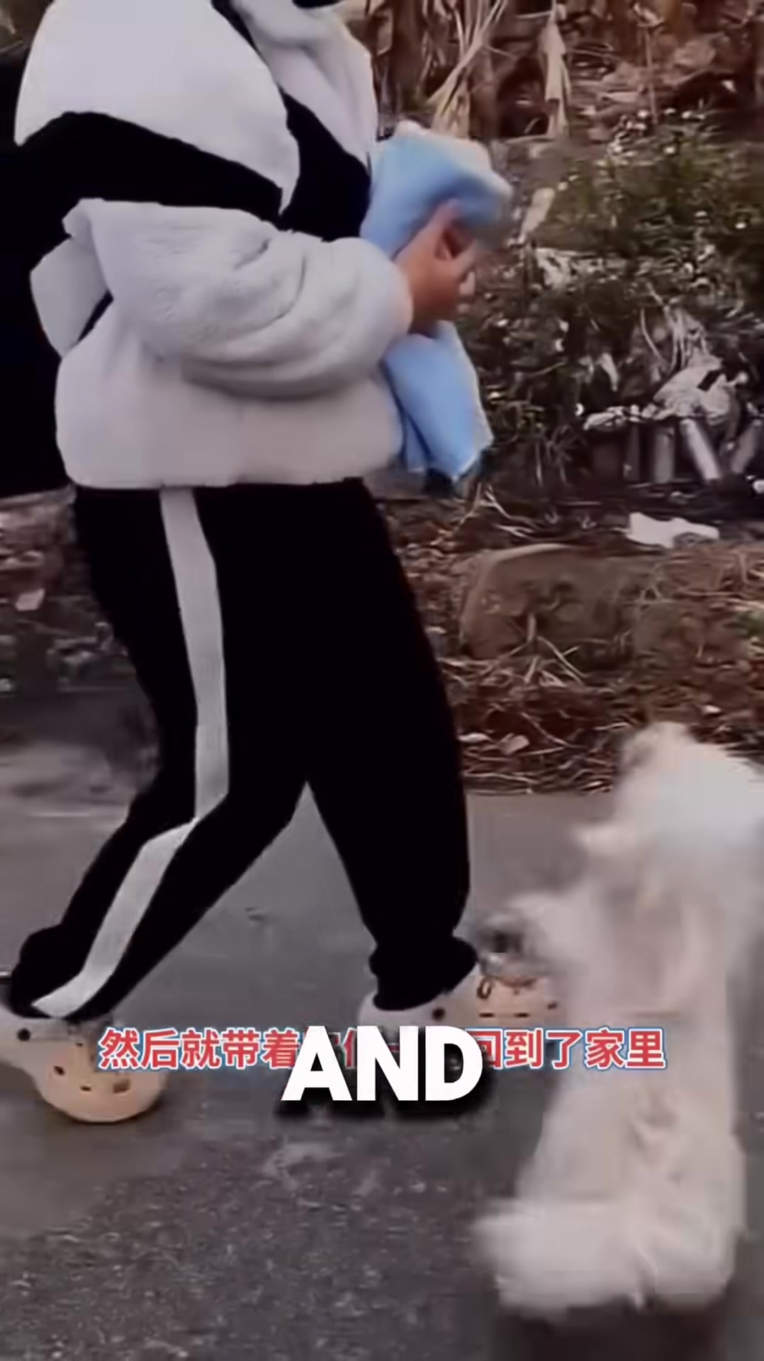 The mother dog nuzzles her puppies wrapped in a scarf, checking on them.