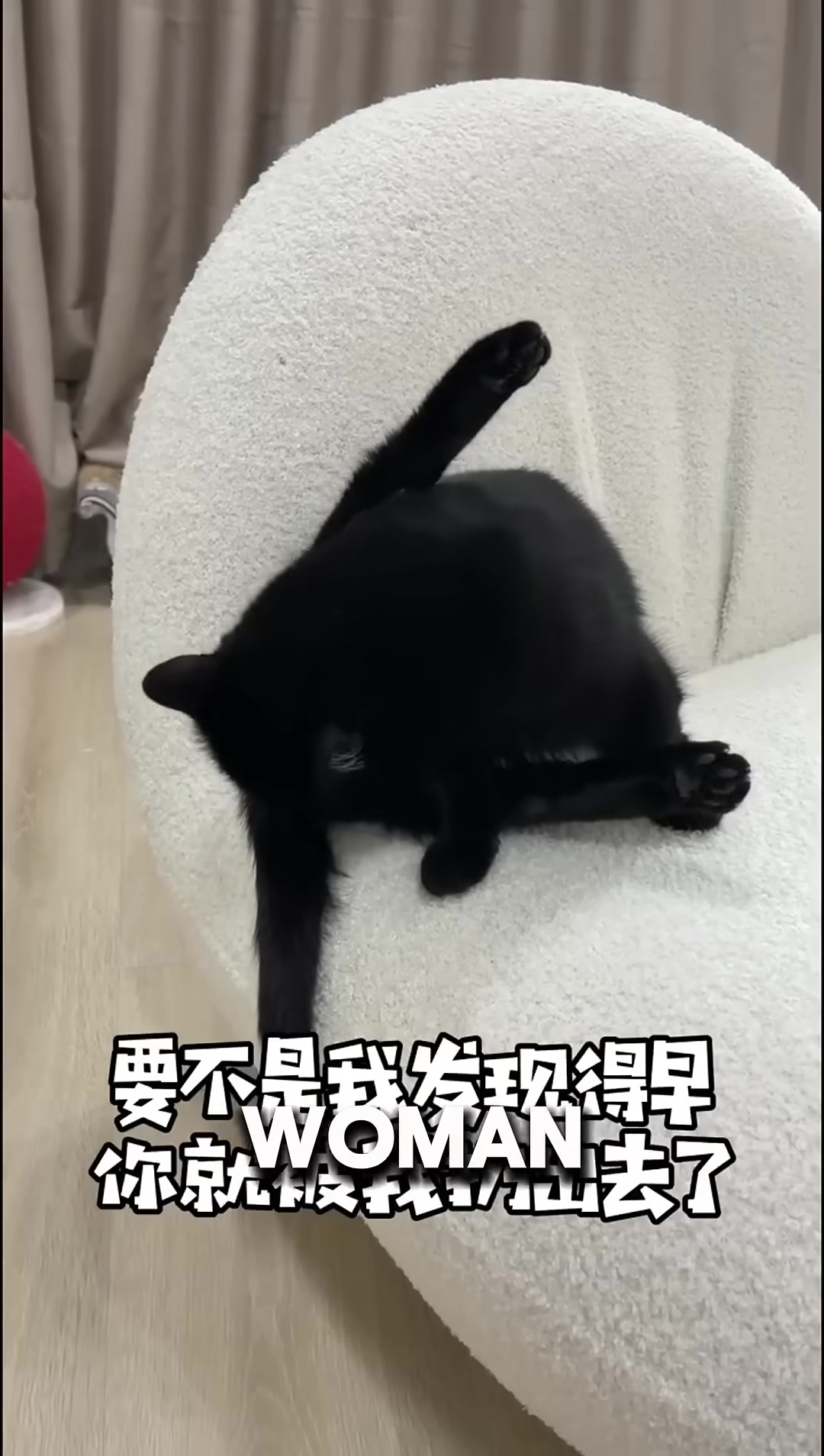 A black cat peeking out from inside a kitchen pot.