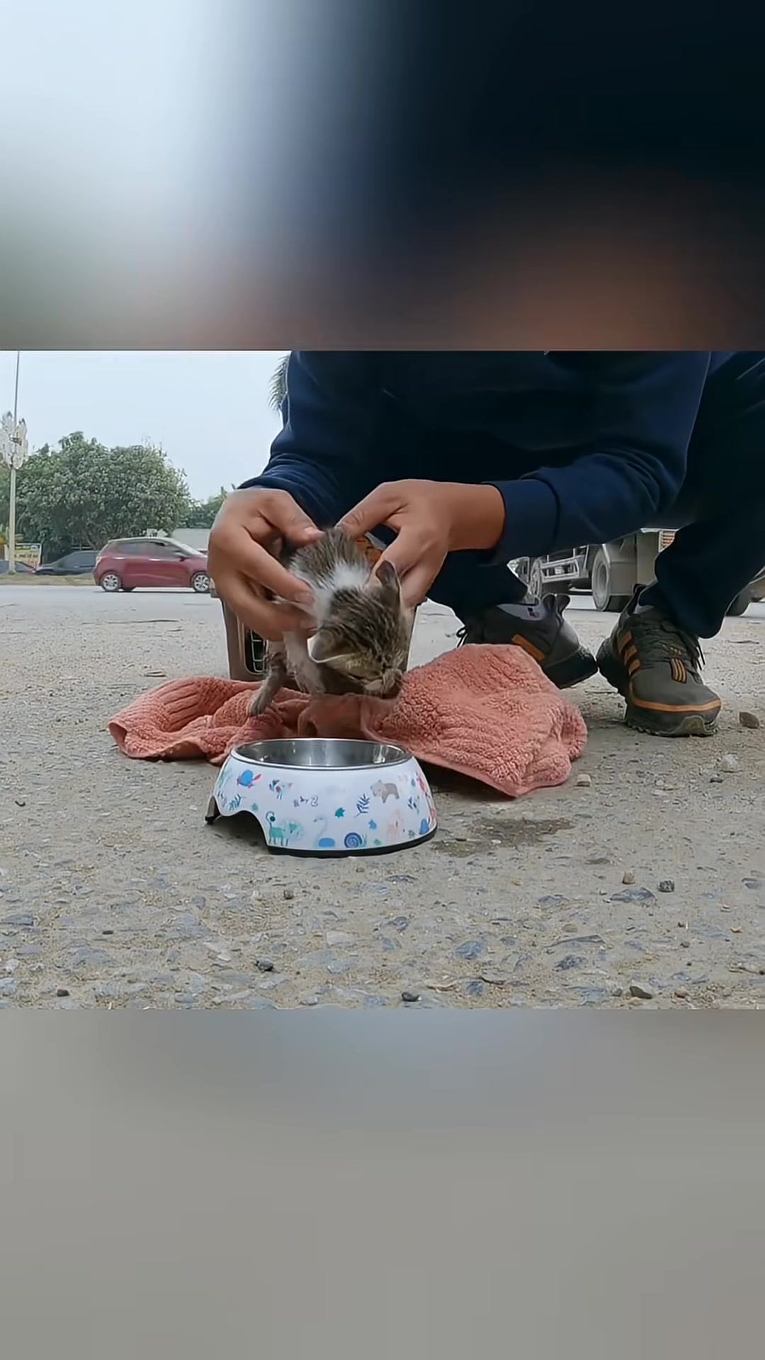 A tiny kitten eagerly eats from a bowl, wrapped in a towel for comfort.