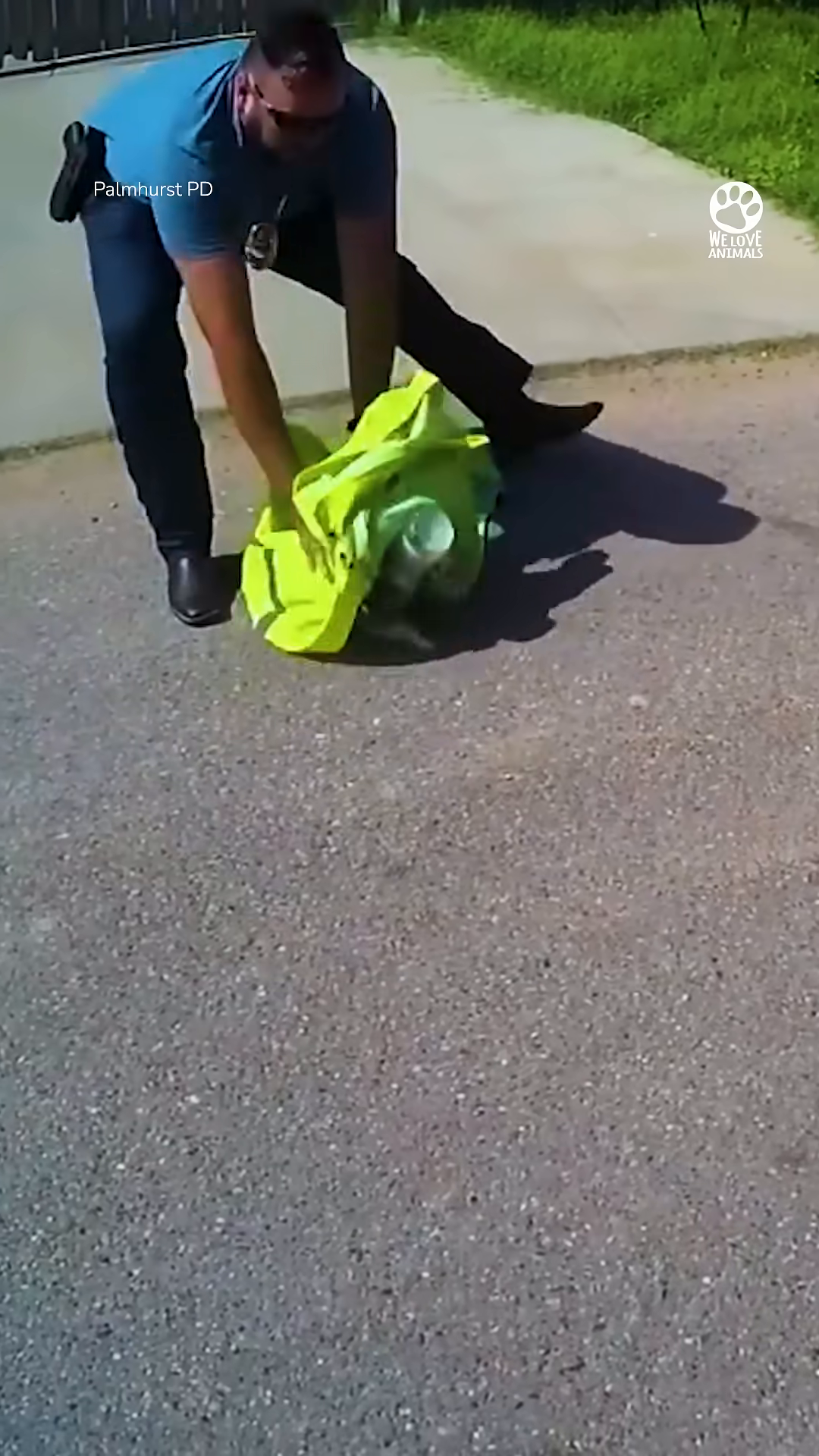 An officer uses a bright jacket to carefully approach and catch the kitten.